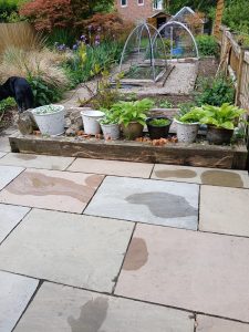 Productive garden with raised beds, plants and growing space representing sustainable growth and planning in self-employment.