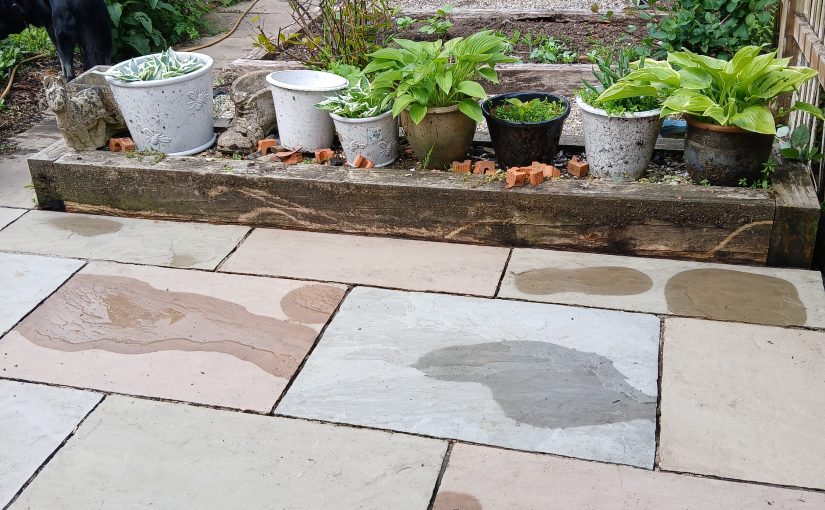 Productive garden with raised beds, plants and growing space representing sustainable growth and planning in self-employment.