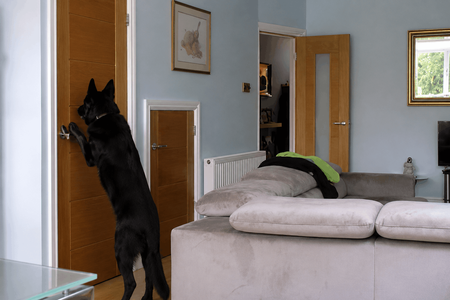 Leo standing with his front paws on a closed door, illustrating the business lesson of recognising when it's time to change direction.