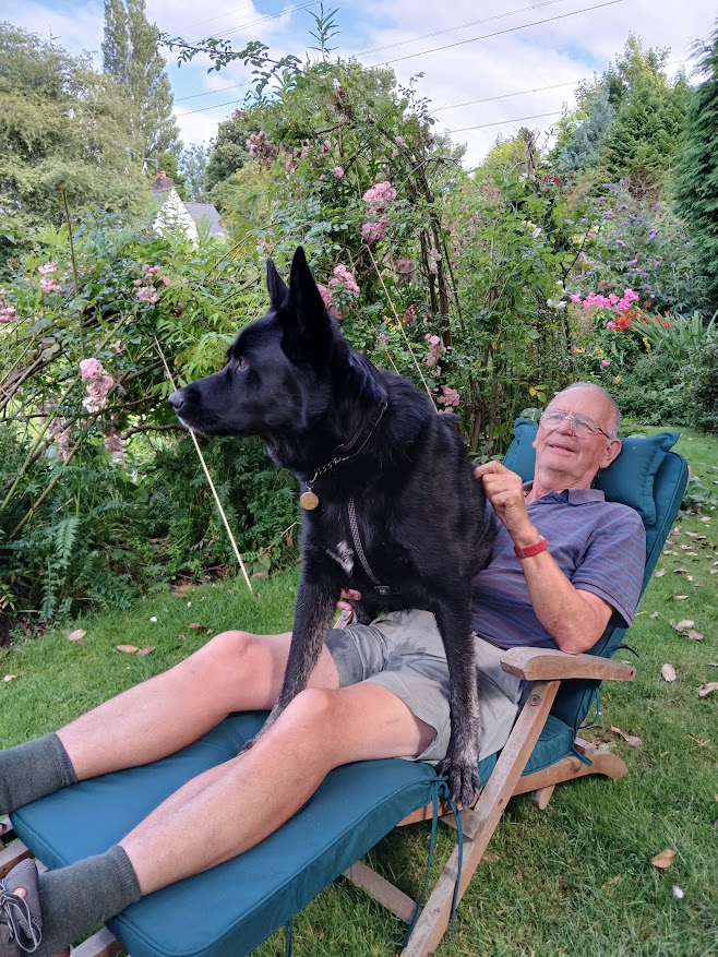 Man relaxing in a garden with a black dog after spending time helping with gardening and mowing the lawn.