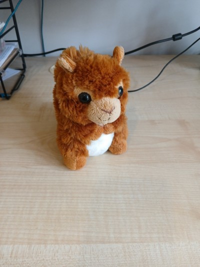 Toy squirrel representing the Secret Squirrels support network