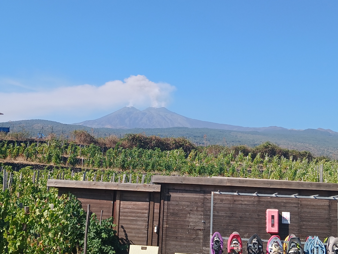 Mount Etna smoking above vineyards in Sicily