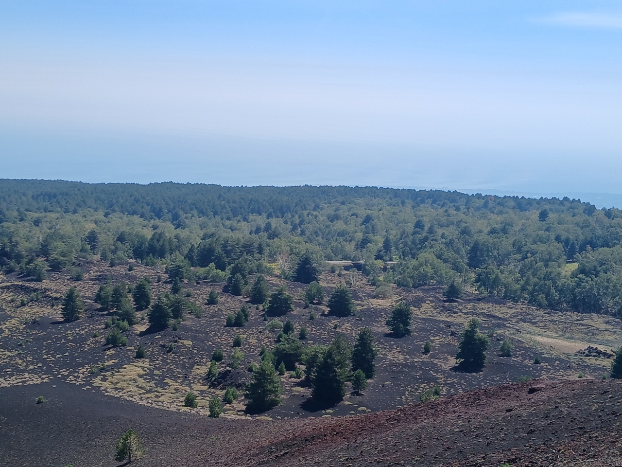 Volcanic landscape and trees on Mount Etna in Sicily